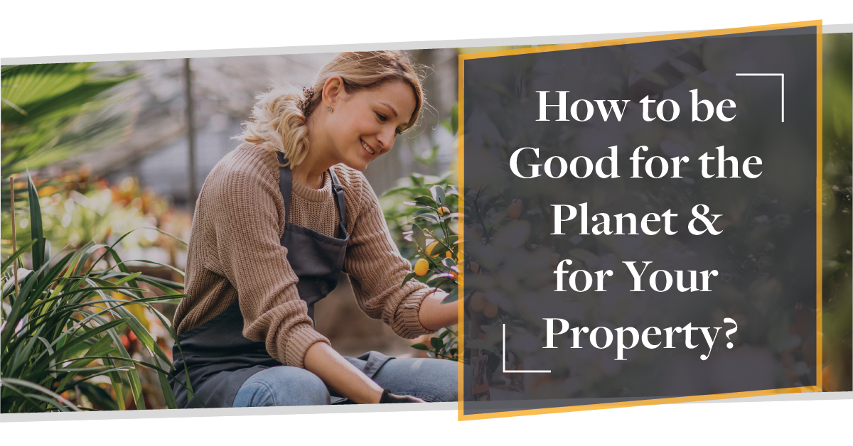 How to be Good for the Planet & for Your Property? | Earth Day 2021